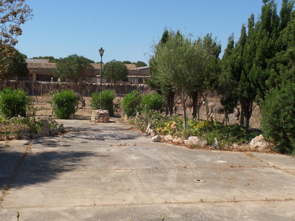 Sa Bassa Crua Agroturismo Sa Torre Exterior photo
